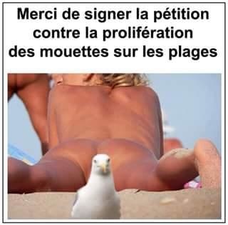 Les livres tout sur la pêche acheter