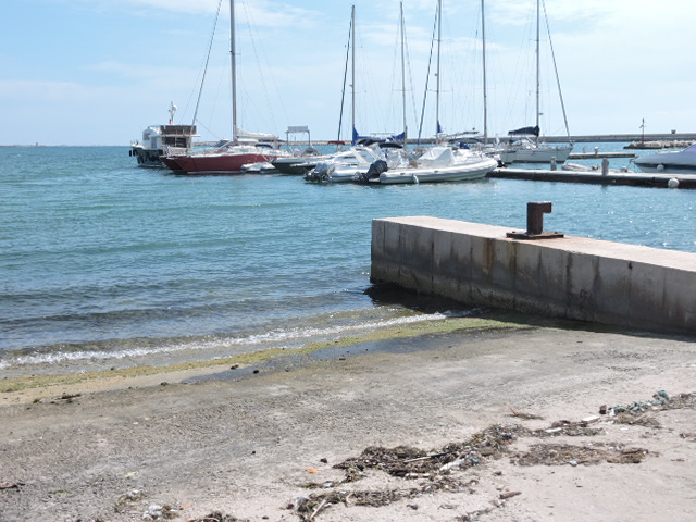 photo /v2/membres/pages_perso/pp_8875/114145.jpg