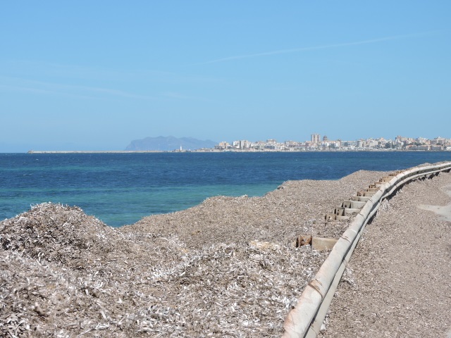 photo /v2/membres/pages_perso/pp_8875/114152.jpg