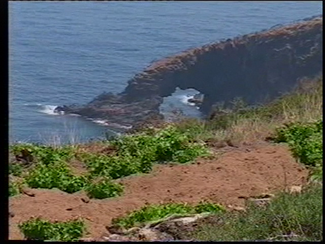 photo /v2/membres/pages_perso/pp_8875/114180.jpg