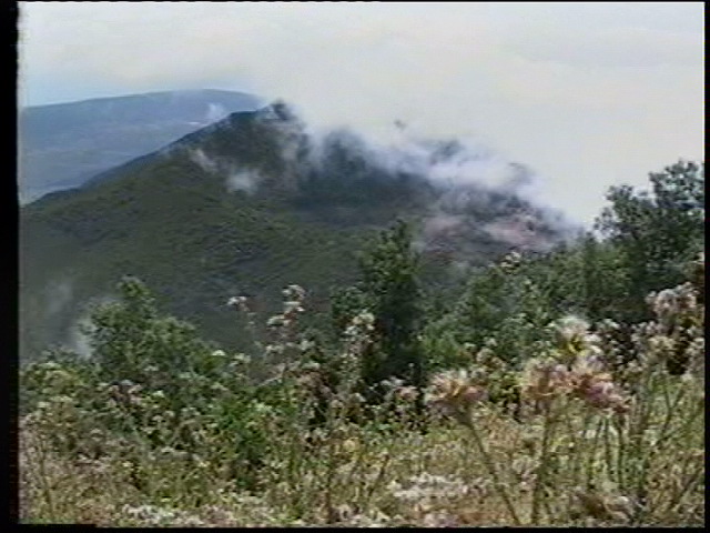 photo /v2/membres/pages_perso/pp_8875/114182.jpg