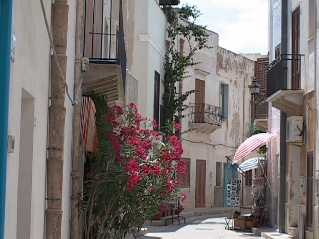 photo /v2/membres/pages_perso/pp_8875/76906.jpg