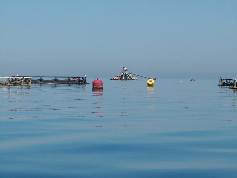 photo /v2/membres/pages_perso/pp_8875/83659.jpg